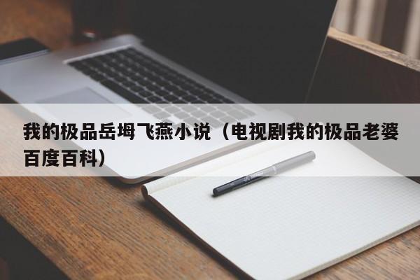 我的极品岳坶飞燕小说（电视剧我的极品老婆百度百科）
