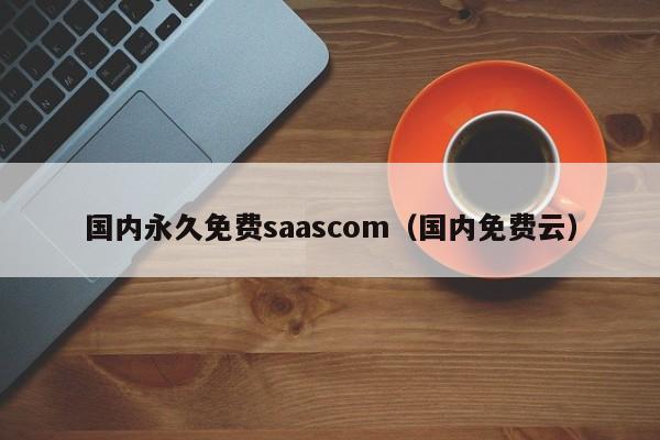 国内永久免费saascom（国内免费云）