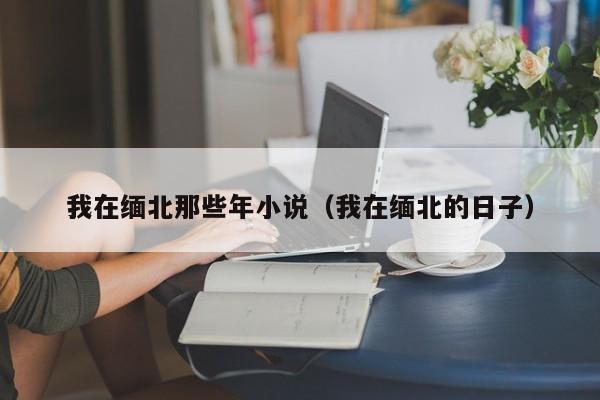 我在缅北那些年小说（我在缅北的日子）