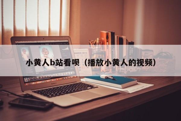 小黄人b站看呗（播放小黄人的视频）
