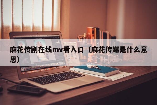 麻花传剧在线mv看入口（麻花传媒是什么意思）