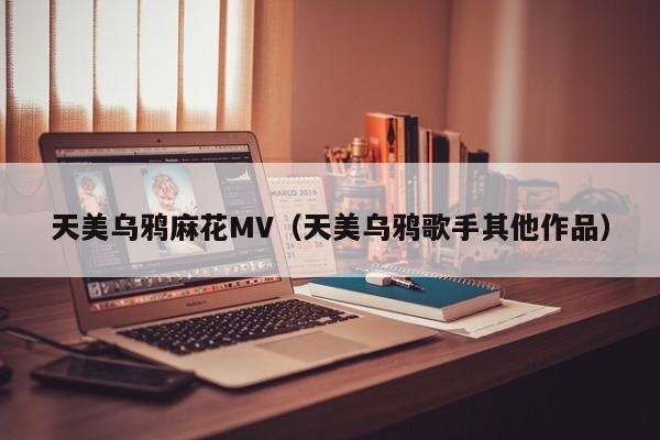 天美乌鸦麻花MV（天美乌鸦歌手其他作品）